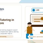 How to Choose the Best Online Tutoring Singapore in Singapore - OziTutors blog image